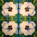 139 Anemonen, Mohn - 3-lagig - Duni